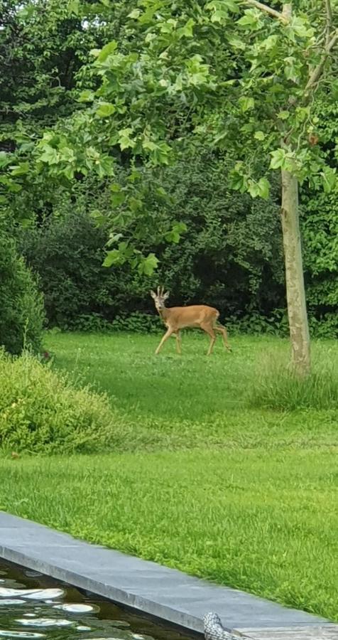 De Appelhoeve Terschuur Bagian luar foto