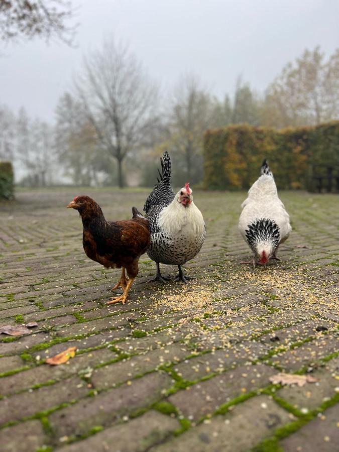De Appelhoeve Terschuur Bagian luar foto